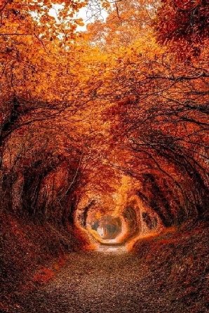 Herbsttunnel