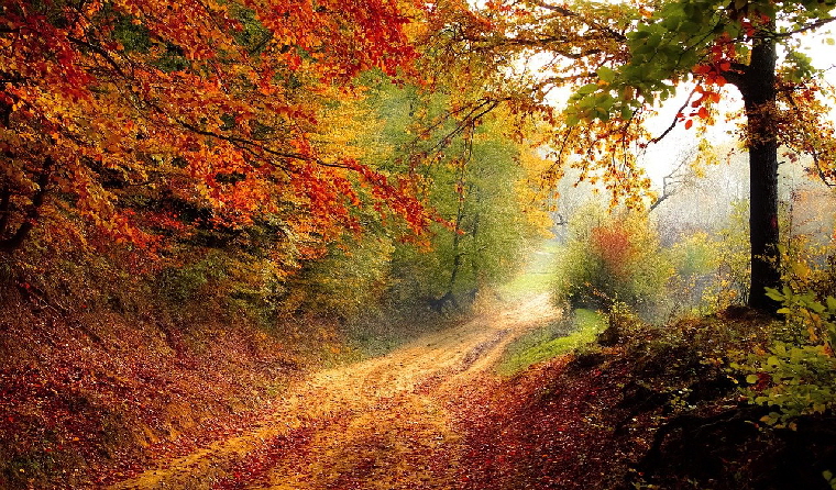 Herbstweg